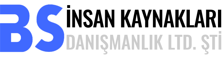 BS İnsan Kaynakları: İnsan Kaynakları, İşgücü